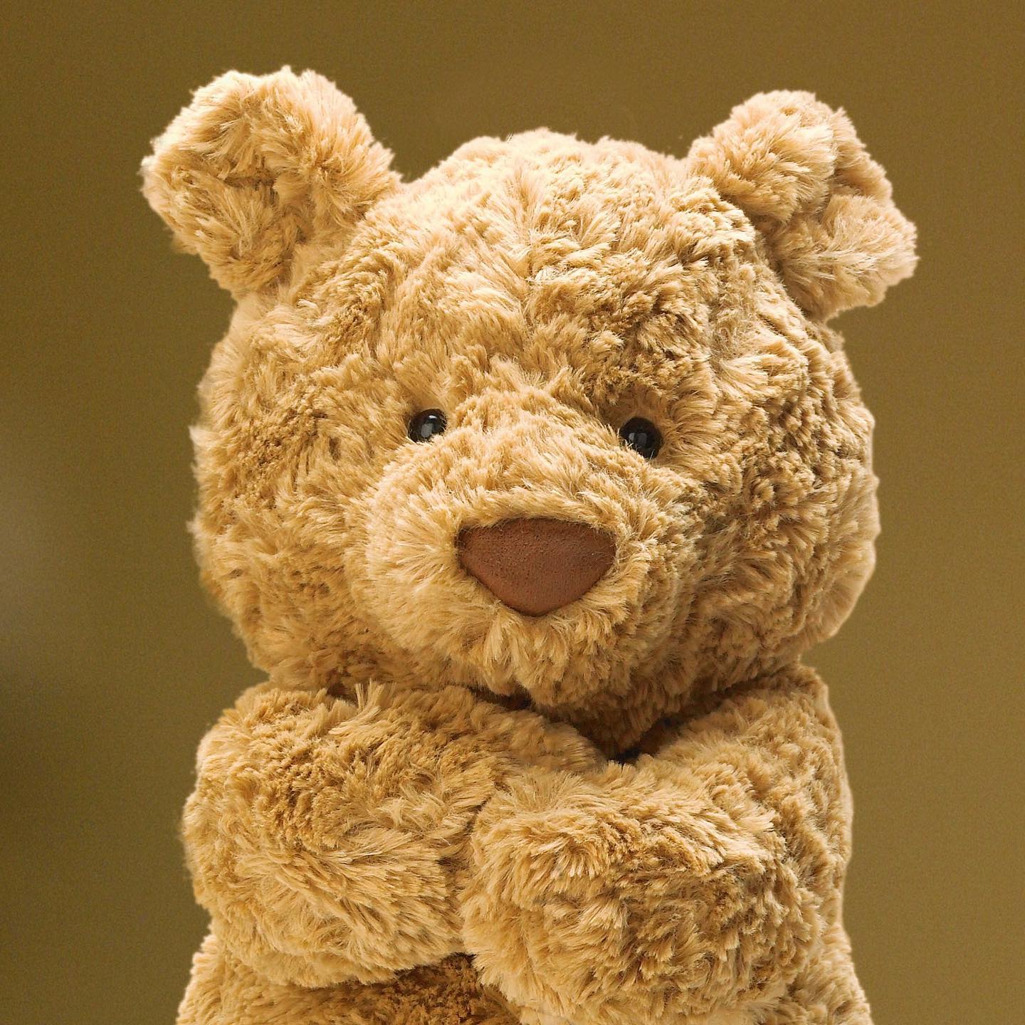 Jellycat • Bartholomew Bear
