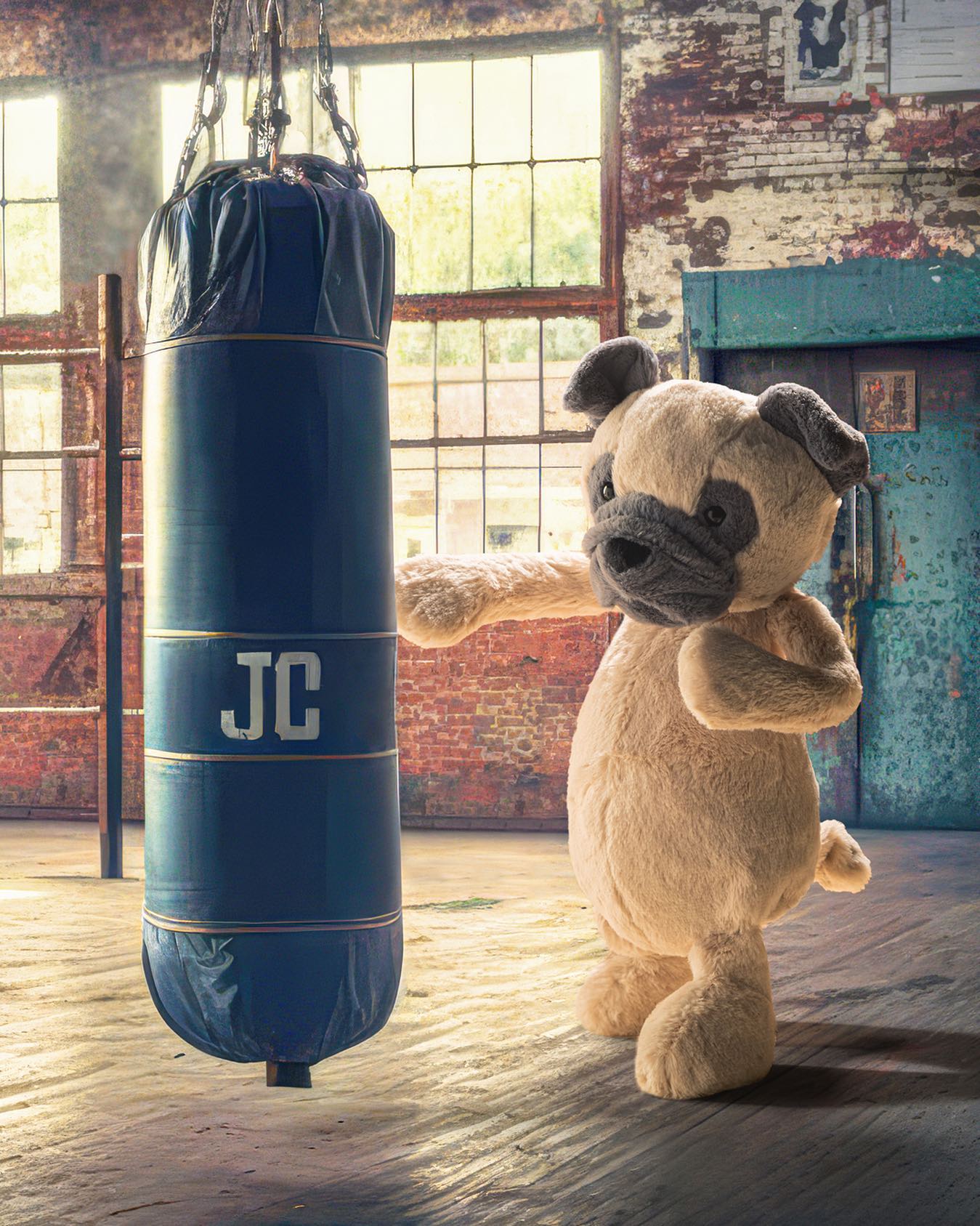 Jellycat • Bashful Pug