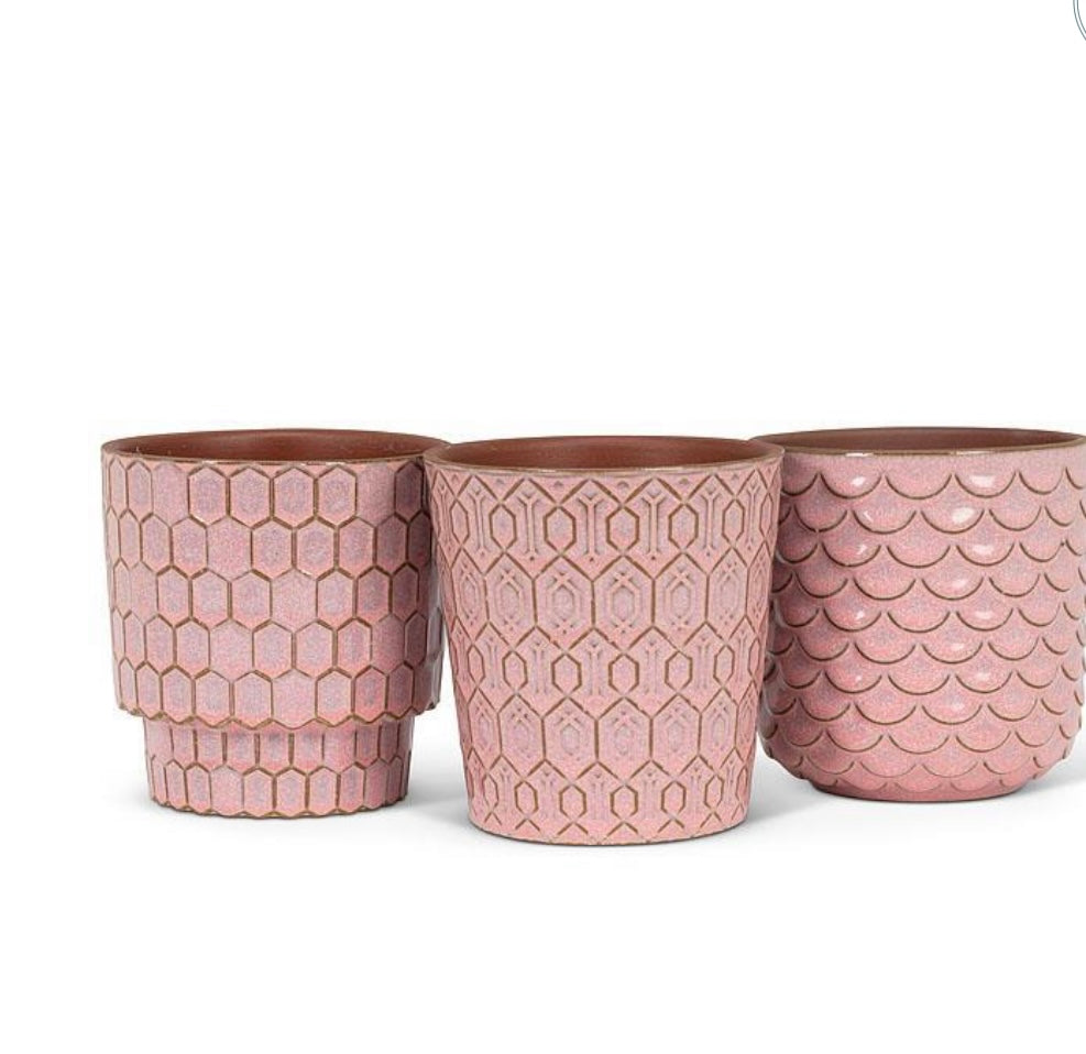 Rosa Planters
