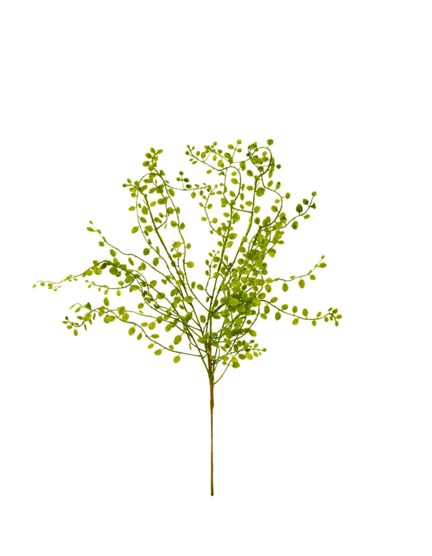 Green Branch