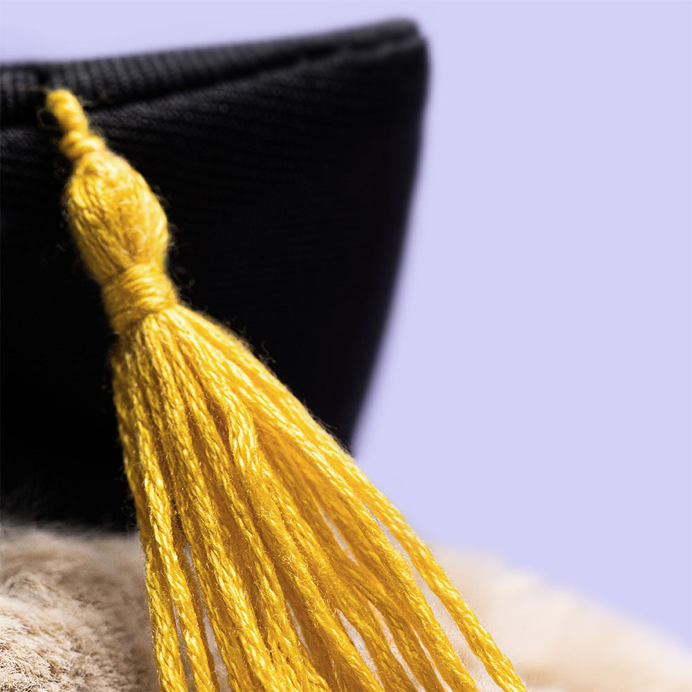 Jellycat • Bashful Bunny Graduation Outfit
