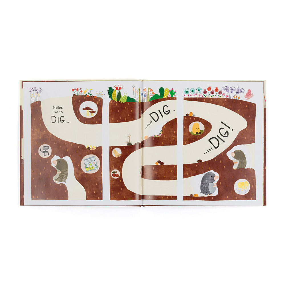 Jellycat Book • Muswell Mole And The Buried Treasure