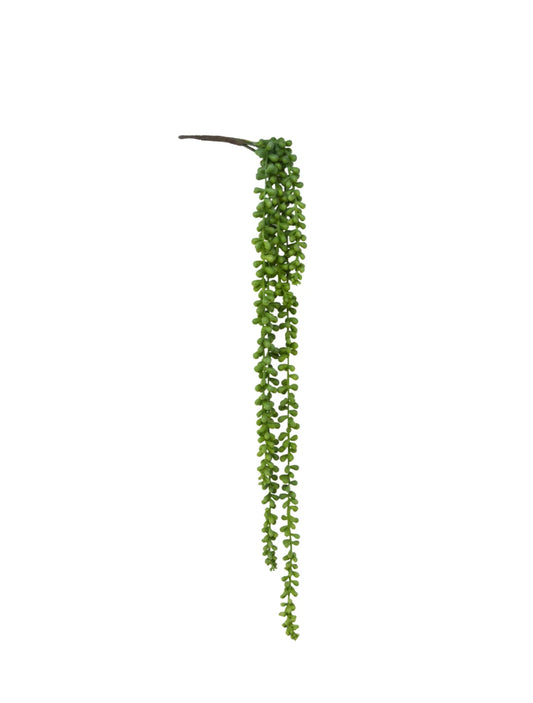 String of Pearls