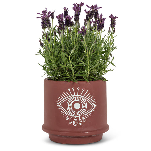 Lg Eye Planter
