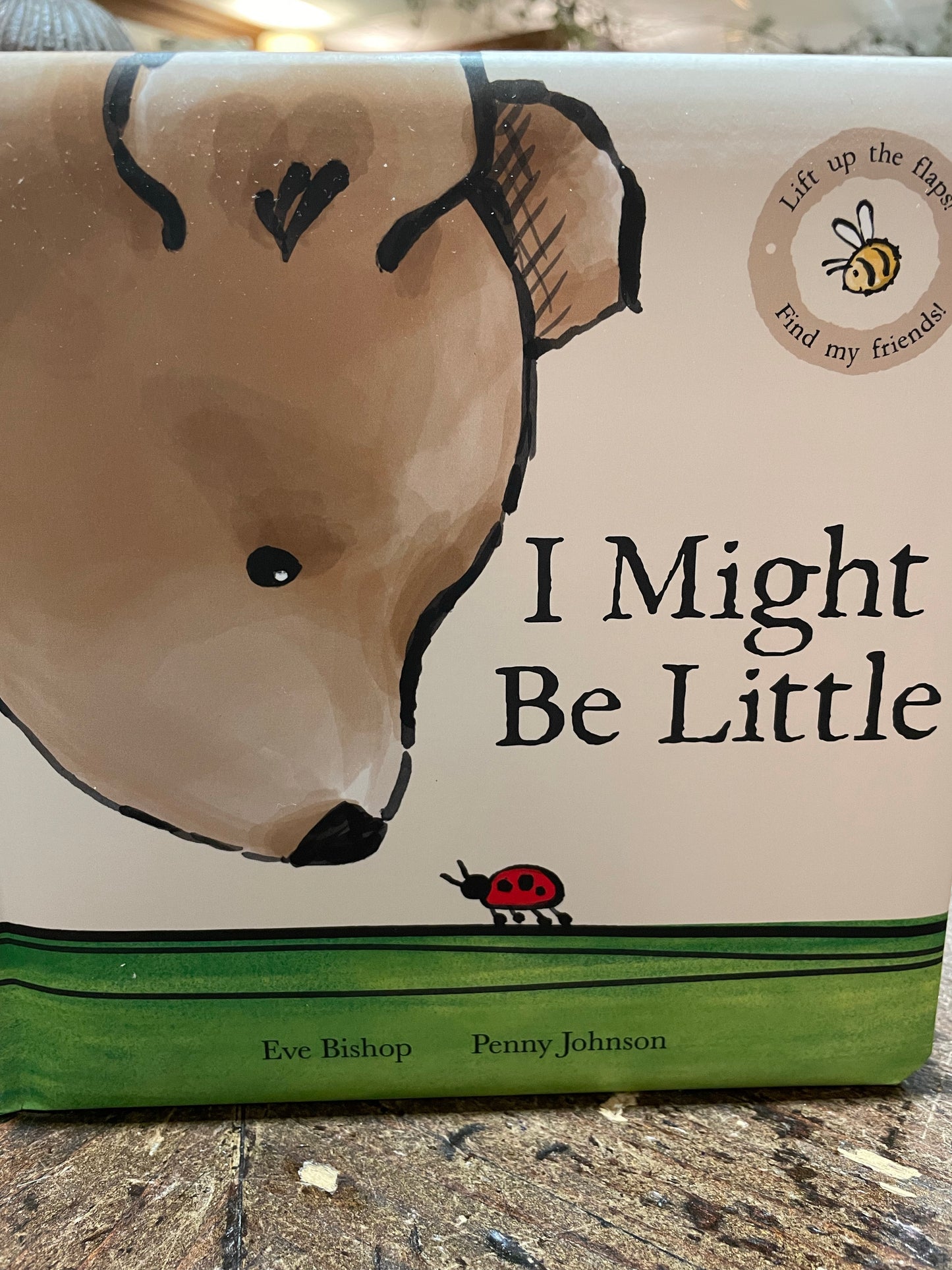 JellyCat I Might Be Little Book